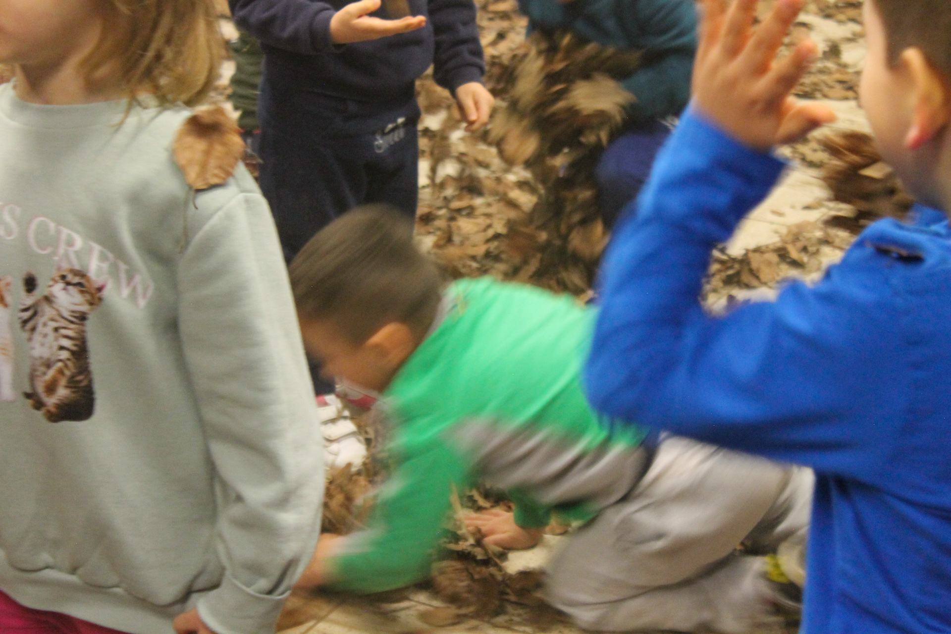 Scuola dell'Infanzia