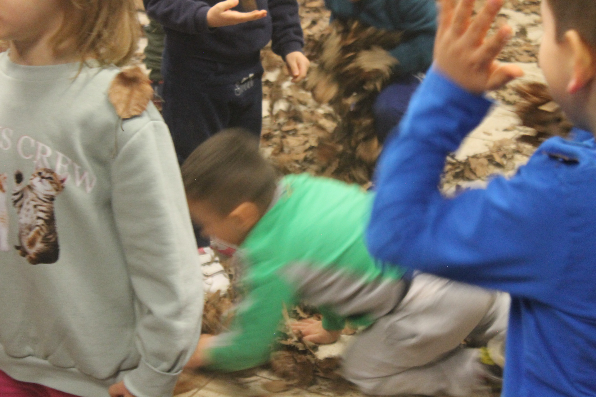 Scuola dell'Infanzia